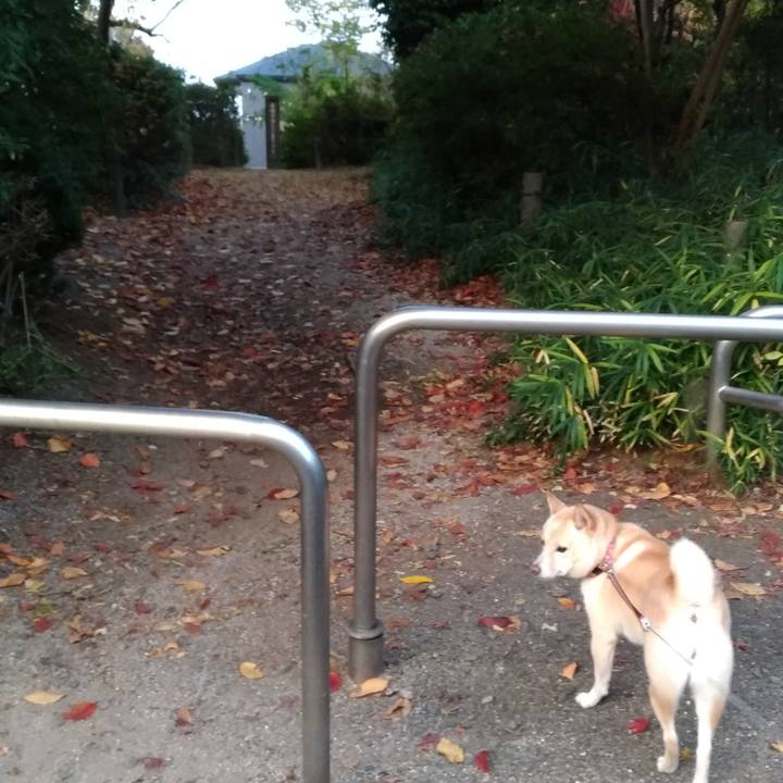 E7b5264b ddce 4ffe 869b cfdc4e77ce7e 1605738103990