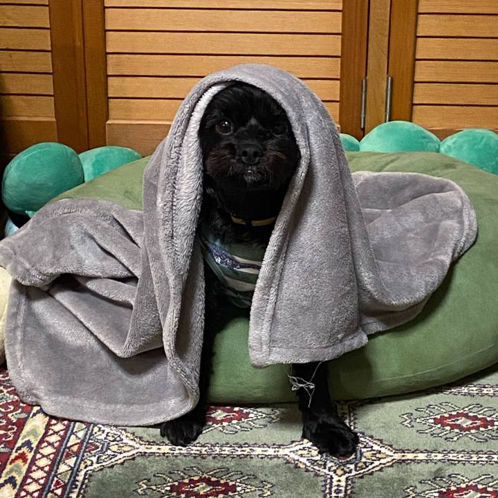 E7b5f51c a467 4240 9a67 5913c6acf6d1 1590236208524