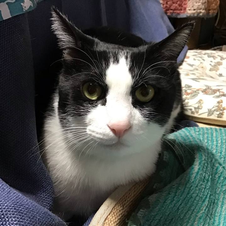 E7b5fa14 4c02 4af5 a1a1 82a7298c46b9 1743414281132