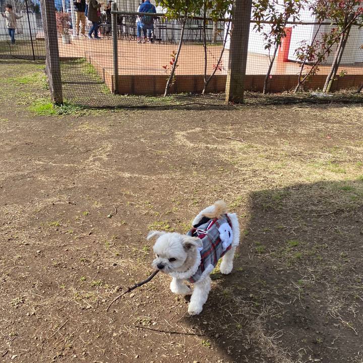 E7b6510a 06bc 449a bcd3 173201b08001 1580531222124