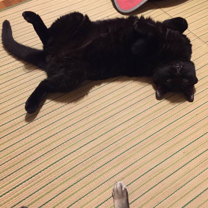 E7b65bff c384 4113 a063 cefc6b2b82c9 1564830164078