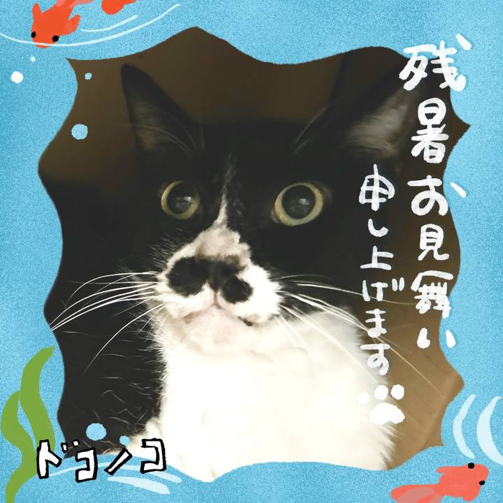 E7b73665 c36a 449d 862d 3f41738c8777 1723213678716