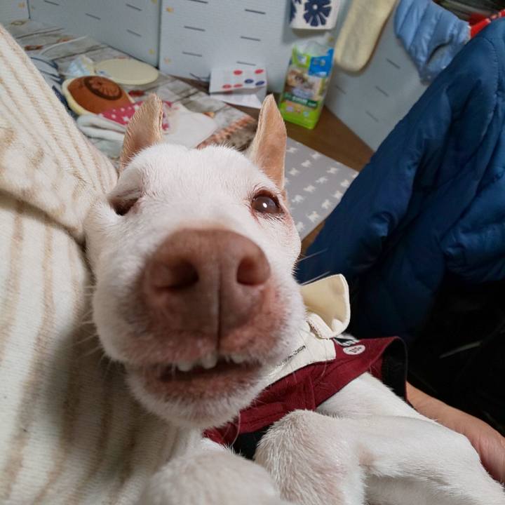 E7b73919 fdbc 43b5 9dcc 11b41d2c388e 1605700284458