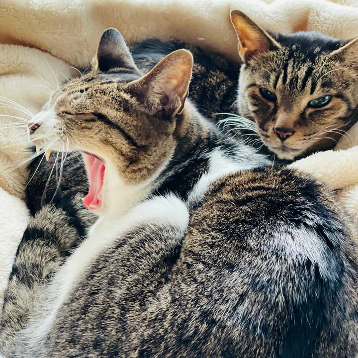 E7b73f5b bc5b 4185 ba77 96f51e483d86 1608859974973