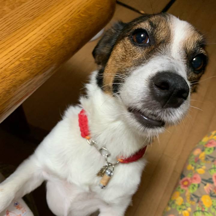 E7b7c244 440a 4317 95e0 ff64426d73f9 1568029608382