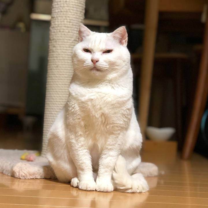 E7b7f4af 4c38 4458 8639 44abf26e2848 1571750418739