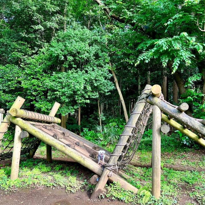 E7b7fa06 703b 4779 869d 493d6f80728d 1657855505178