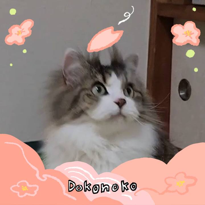 E7b80ad6 829f 4cd3 a099 021fec07bf66 1775308473002