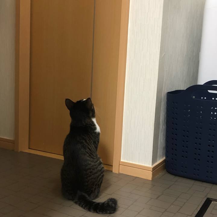 E7b811a0 dad2 4c50 9cad bfd2e59e71a5 1539932288109