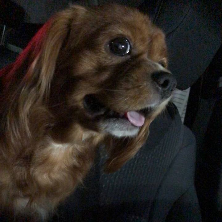 E7b8265d 182a 475d a459 32c7ed235058 1565187705094