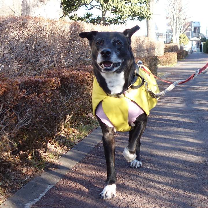 E7b89509 83c1 4472 b632 b8fd645cc419 1740270329832