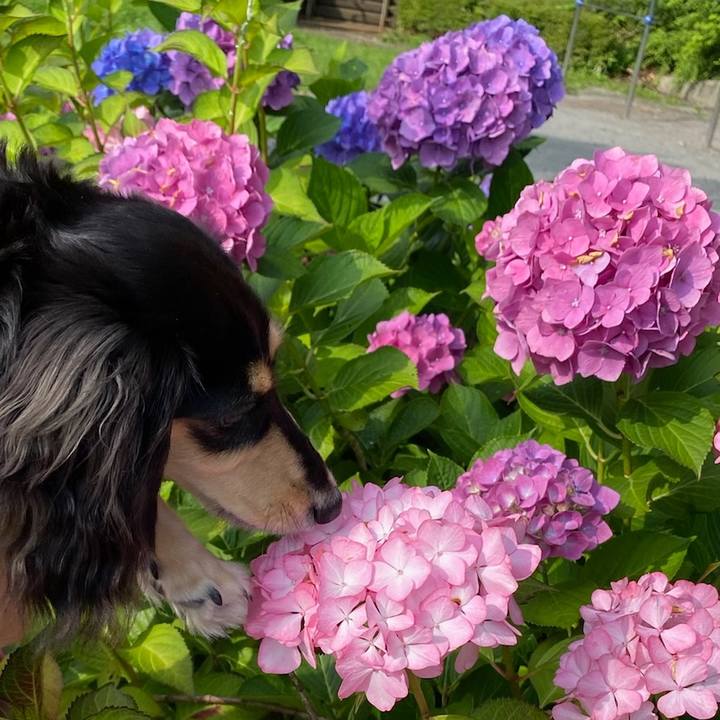 E7b8bf81 3771 4f8c 9773 b4165a346e67 1687752791217