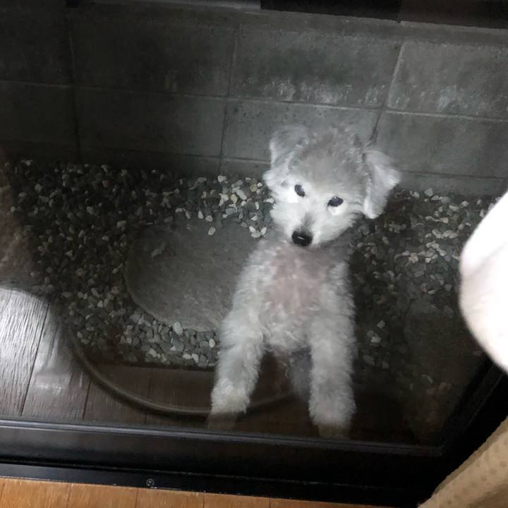 E7b8e0a6 6632 4921 9c71 dc89bd65f43c 1611098470735