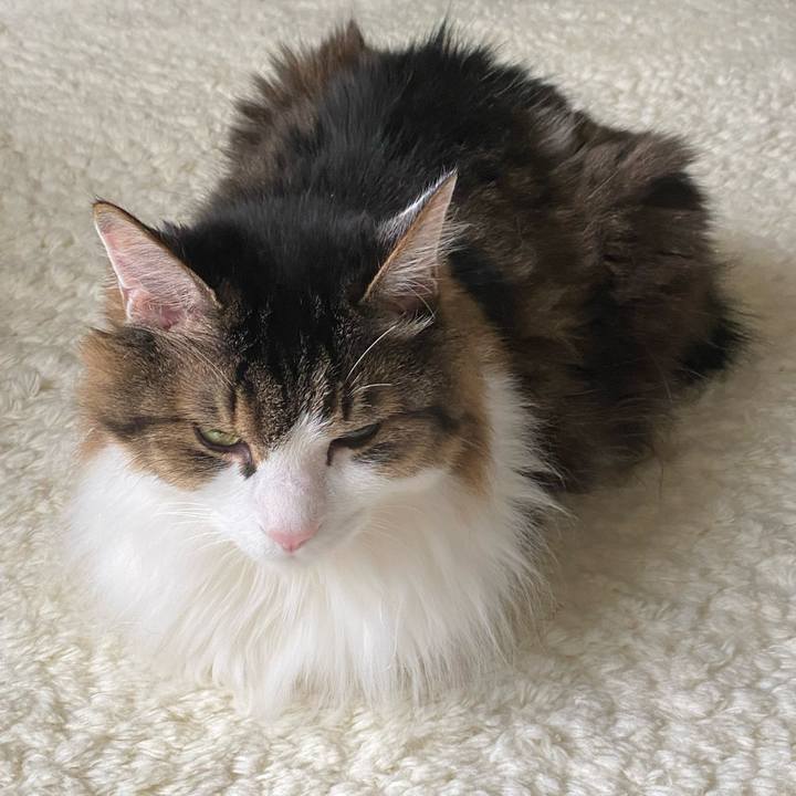 E7b8f31c 9300 4791 b844 a0590b6a0b45 1664054643838