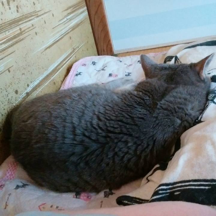 E7b91d90 b6f7 4466 b4b7 f10e96f1d312 1597533738525