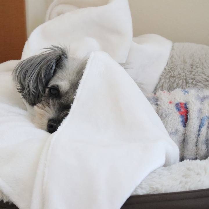 E7b96b74 6272 49a2 a069 875e341495f0 1762218289852