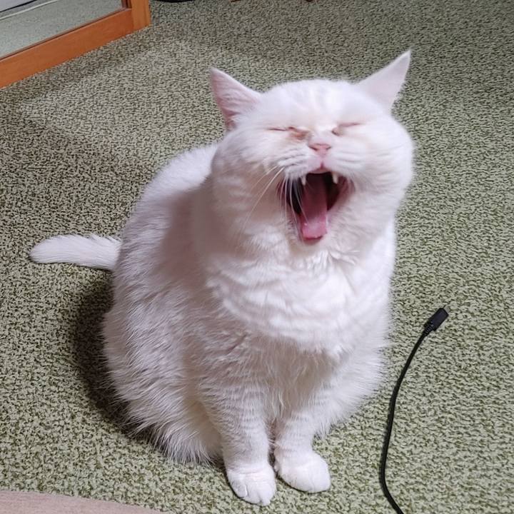 E7b985eb db59 47b0 8173 6c9b83e5c9c5 1723380256214