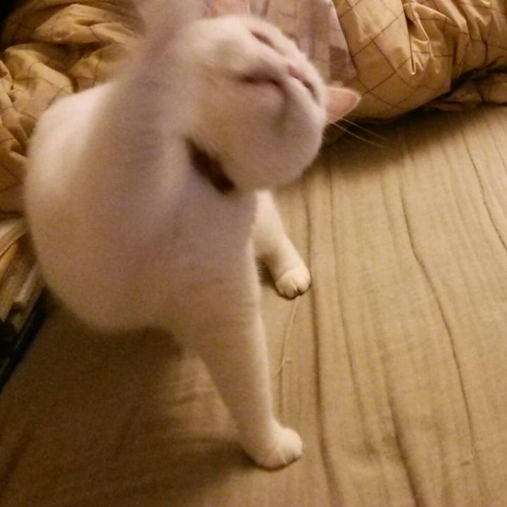 E7b9896e 64d9 4946 bda0 27c136526729 1509922285631