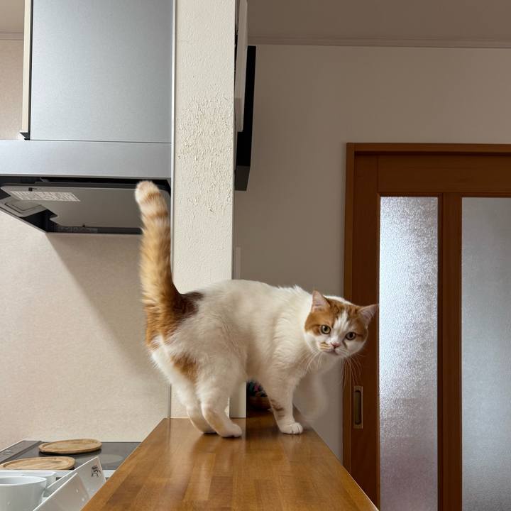 E7b9992d 6de9 4b7a 9ff9 662ddffb5f4a 1776220146759