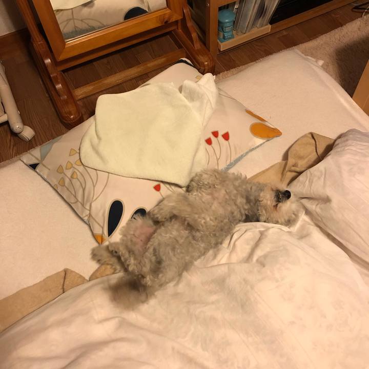 E7b99fae 876d 4162 acf3 07bf482a4885 1650722207960