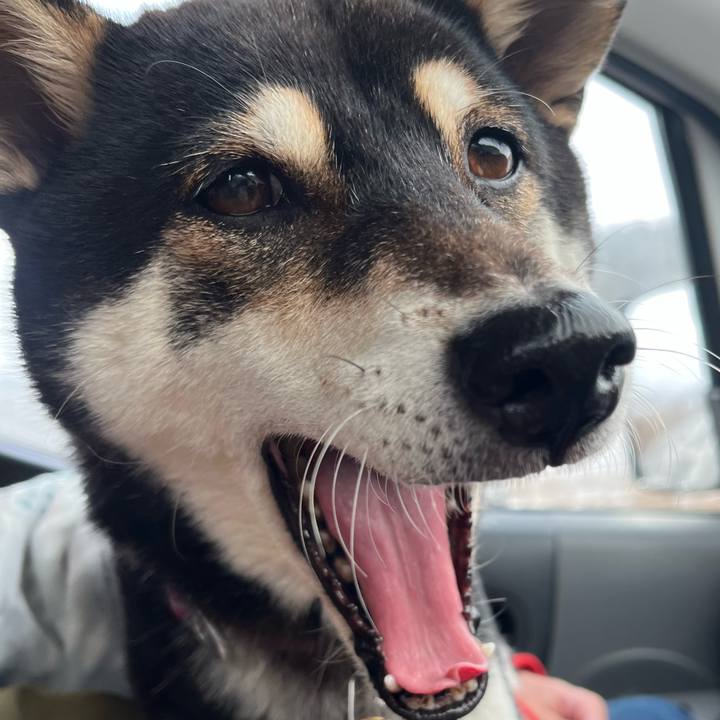 E7b9be17 577d 48ca 89b8 a8fd373fa3c3 1639832429252