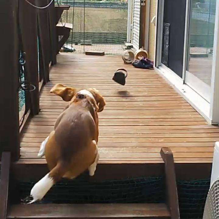 E7ba00bf 7e29 4733 b893 81ec58a70f92 1586588519555