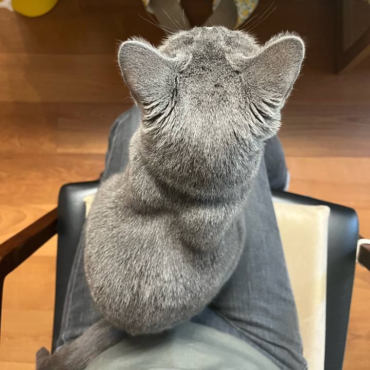 E7ba8ebc 2598 45a1 b1e4 30842f7e3d0b 1689496813304