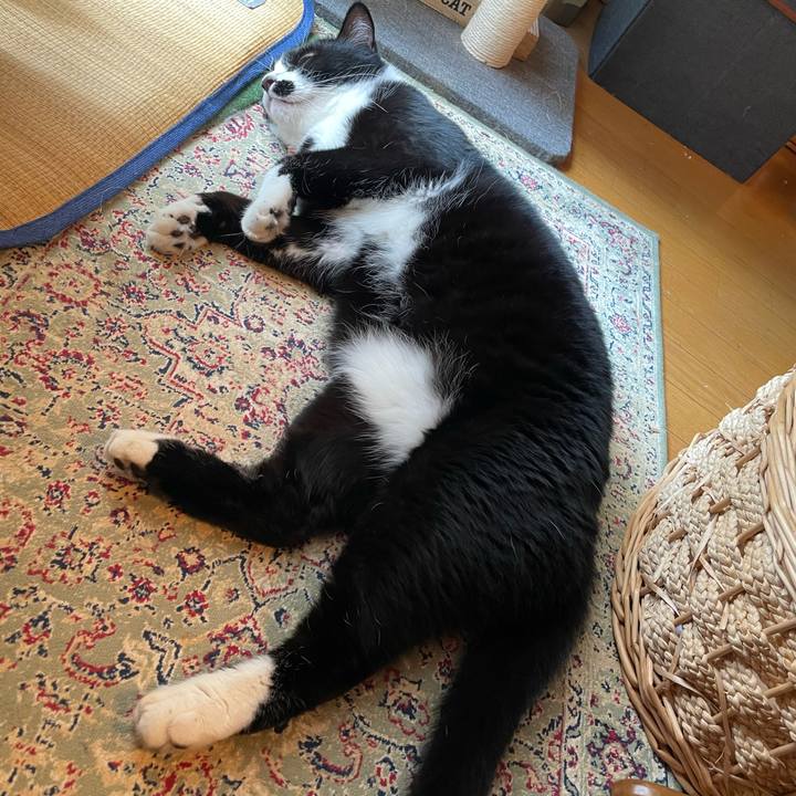 E7bae5d5 22fa 43ff 9417 14b4d4a71b2e 1755739660618