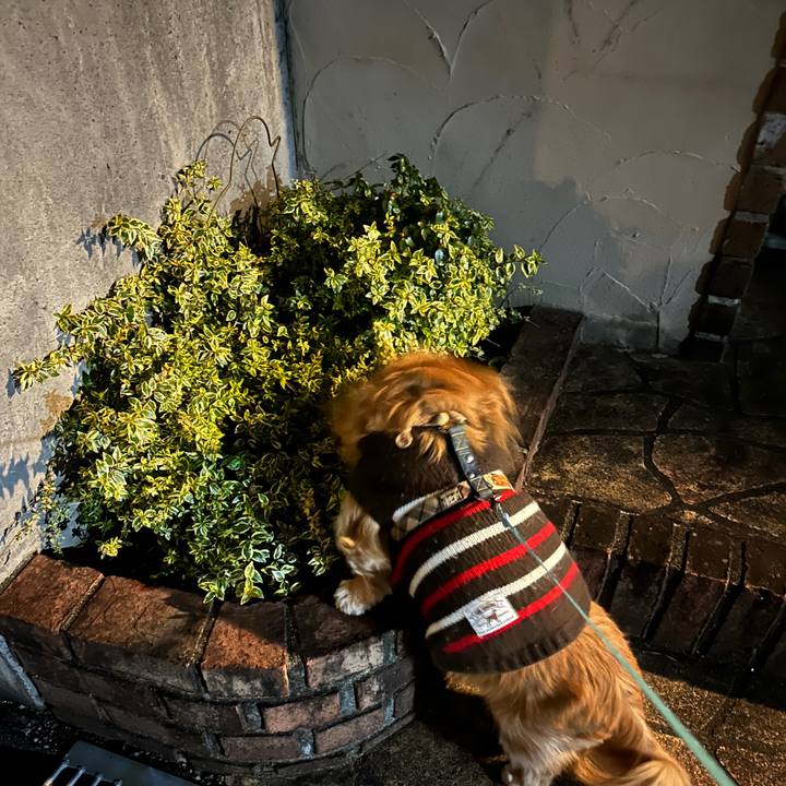 E7bb0087 76c6 4382 b9dd 9403d25cc501 1737062826649