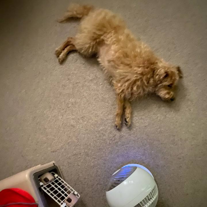 E7bb0558 45ef 4d2b a9bc 701ab1ce4fad 1692747478944