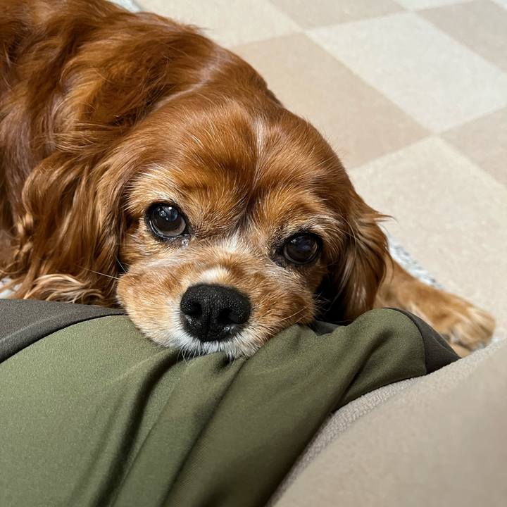 E7bb10bb e883 488e a05f c34790c321c2 1697580201768