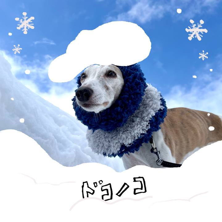 E7bb2815 8a65 416f 83b9 c599dd62b334 1771834106376