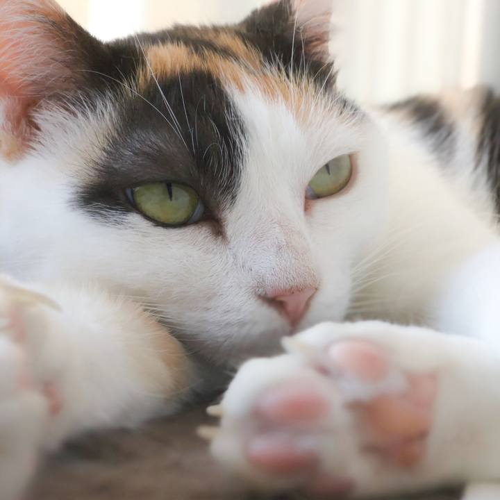 E7bb4b58 de9d 4527 a03b 87a47cee3aa7 1567820440504