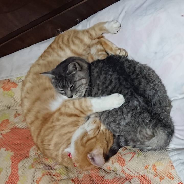 E7bb4e20 4de8 4f4e 846e 2ea3a51a2411 1577190344032