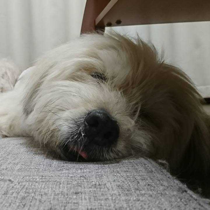 E7bb6444 dd57 4b3c aedd 84d54b4ba823 1606219134794