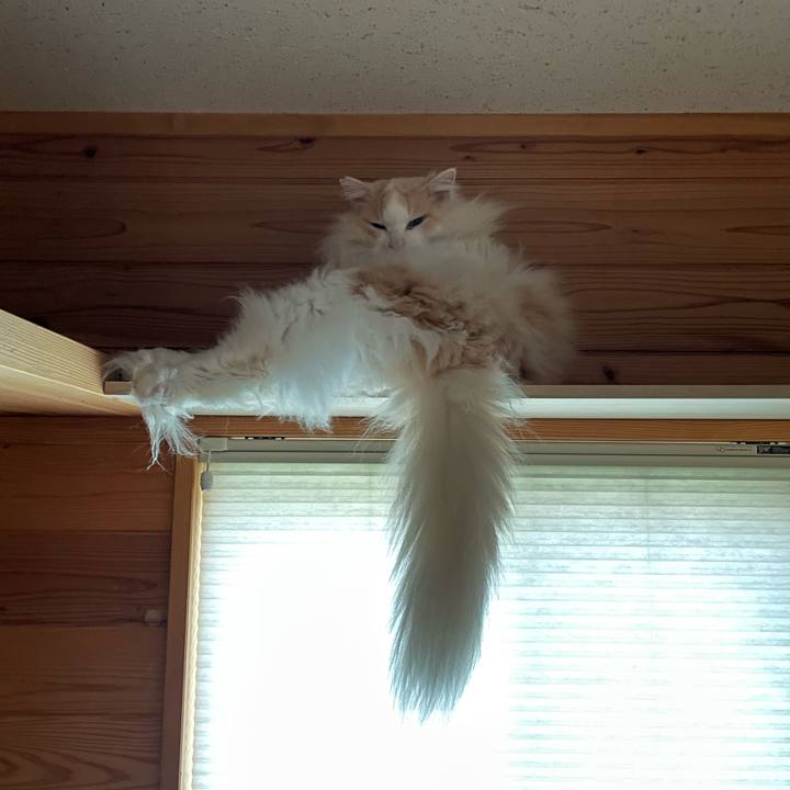 E7bb703d 3db1 44f7 abfb c71c197ce278 1682891945297