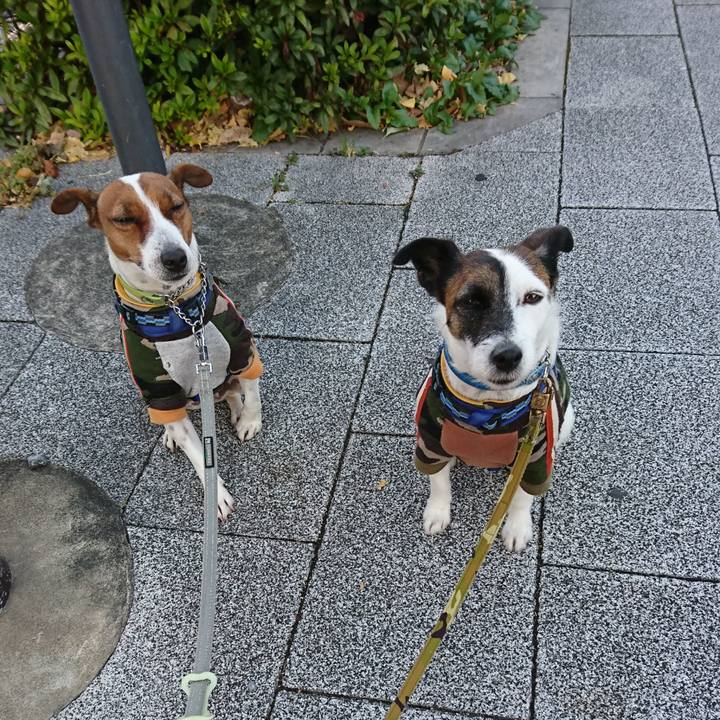 E7bb8e56 07a3 4ed1 b304 ed7a1c2f122a 1606777330236