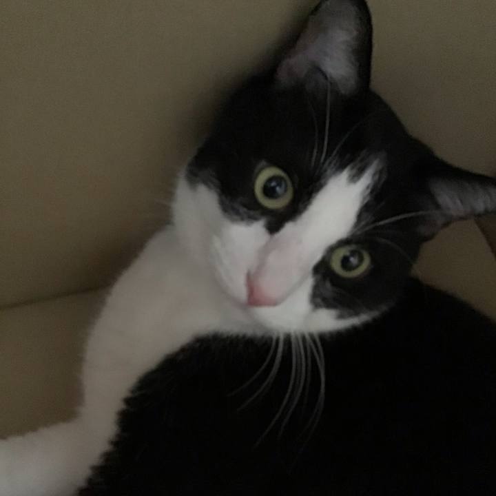 E7bb9390 a1eb 4b75 8b48 0f65e99d09c1 1756279741079