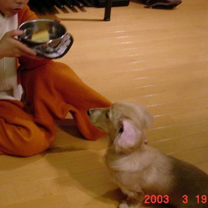 E7bba184 6b68 41c3 b393 60d9e4423291 1616155897512