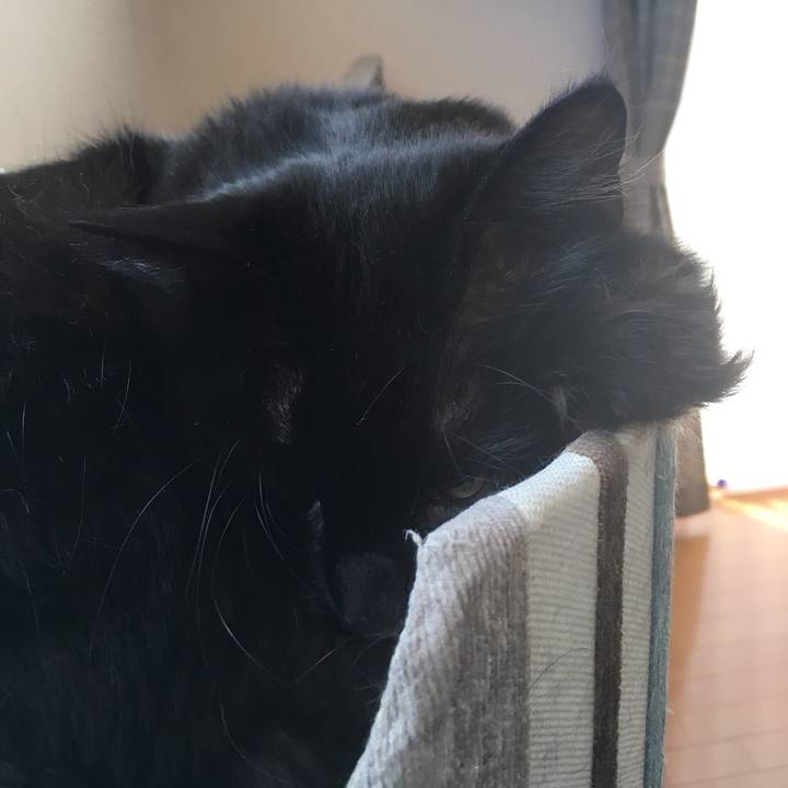 E7bbabe9 d45f 460d 82a3 5135d6fd2d5f 1522376775958