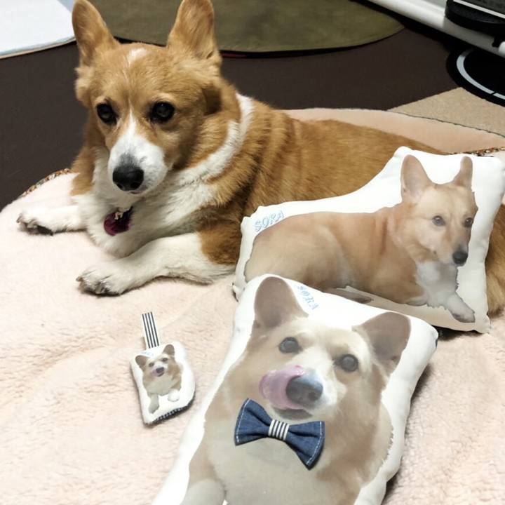 E7bbf531 173a 464d bdc8 f34f4c011d2b 1605699403874