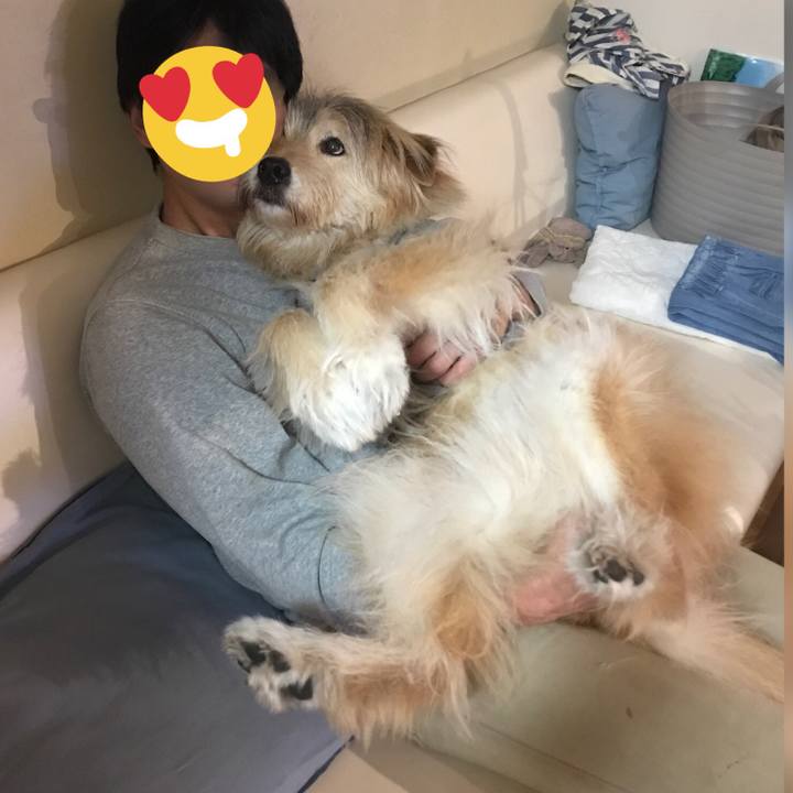 E7bbfae3 824e 42b7 b6d1 c09c1be46d1b 1647647646138