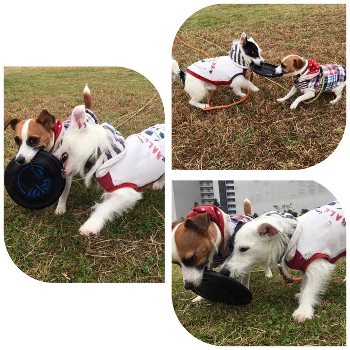 E7bc1127 6fa4 453b 9ea2 54bc87401905 1666323842058