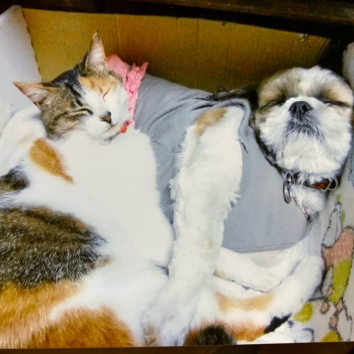 E7bc65c0 7a1a 49ca 9068 7dab4a80bc31 1638938116083