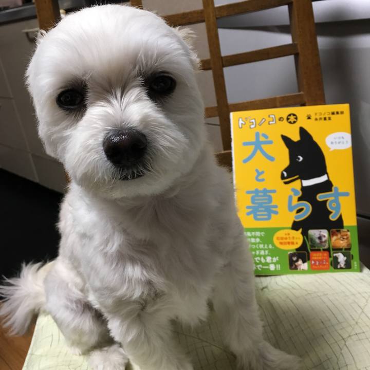 E7bc94c8 40a9 469f abf3 3569eb632eac 1558180190754