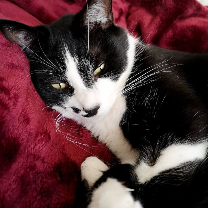 E7bcafd9 6293 4c2f 8693 223370963c23 1545571456243