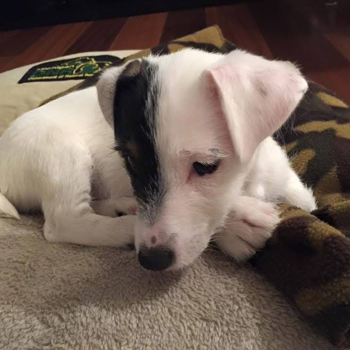 E7bcc880 dded 49bc a681 2132a9602137 1770424233716