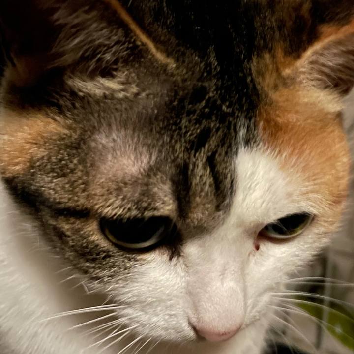 E7bcd5d3 9fed 4fe0 9c61 851a46b55d41 1650373495199