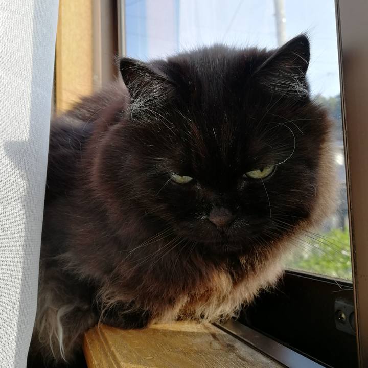 E7bce742 051a 4874 a18a 2384bbce5ca0 1543129320903