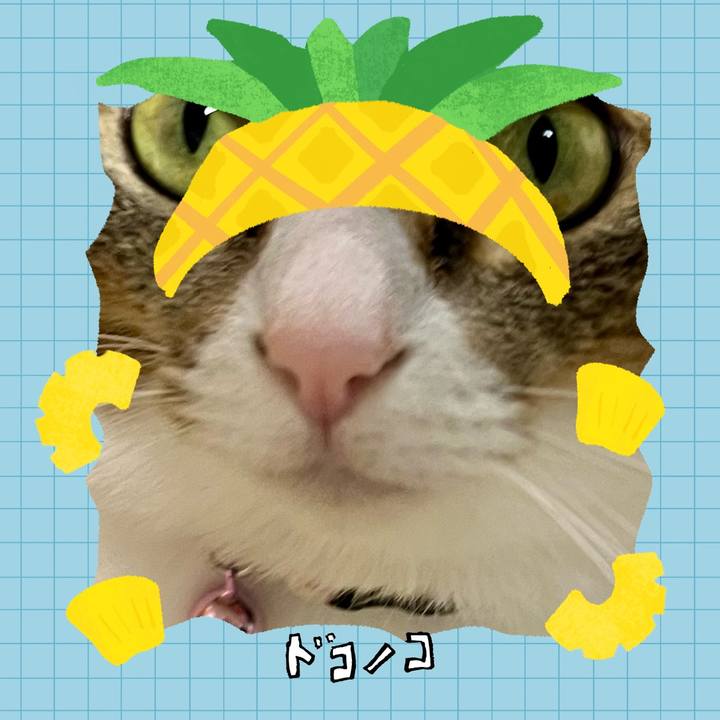 E7bcfd9d 1cbe 40a7 be7c 2fc3478dba62 1783327149412